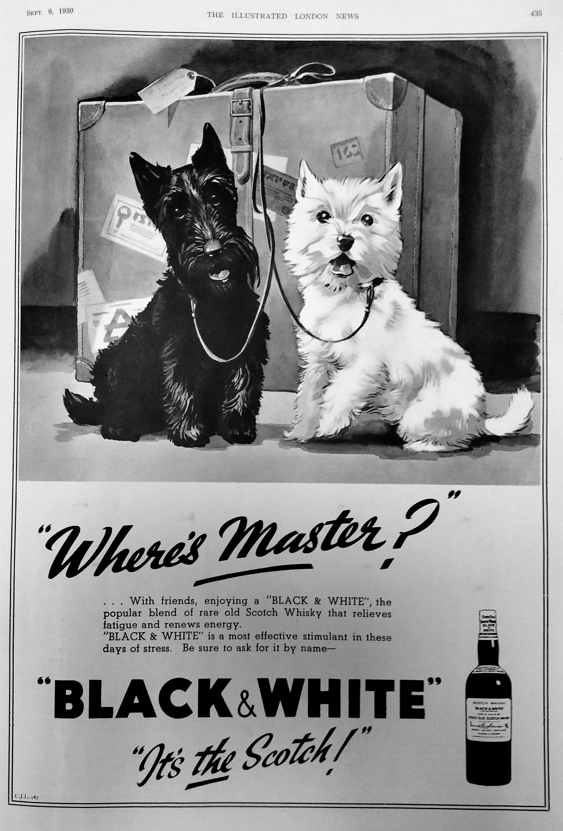 b&W advert